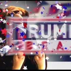 Une publicité vend un ours à l’effigie de Donald Trump