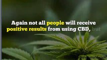 How Long Is CBD Hemp Oil For Pain Relief