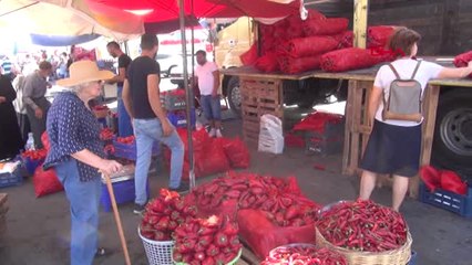Niğde Niğde'de Salçalık Yapımı Başladı