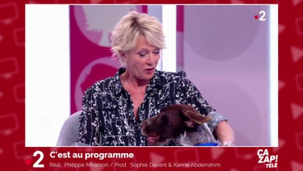Sophie Davant attaquée... par un chien !