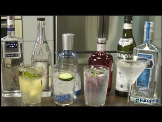 Cocteles para toda Ocasión I Coctelería I Gin Tonic I Mojito I Tom Collins I Dry Martini