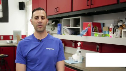 Fibrenew: Expert Leather Vinyl and Plastic Repair and Restoration