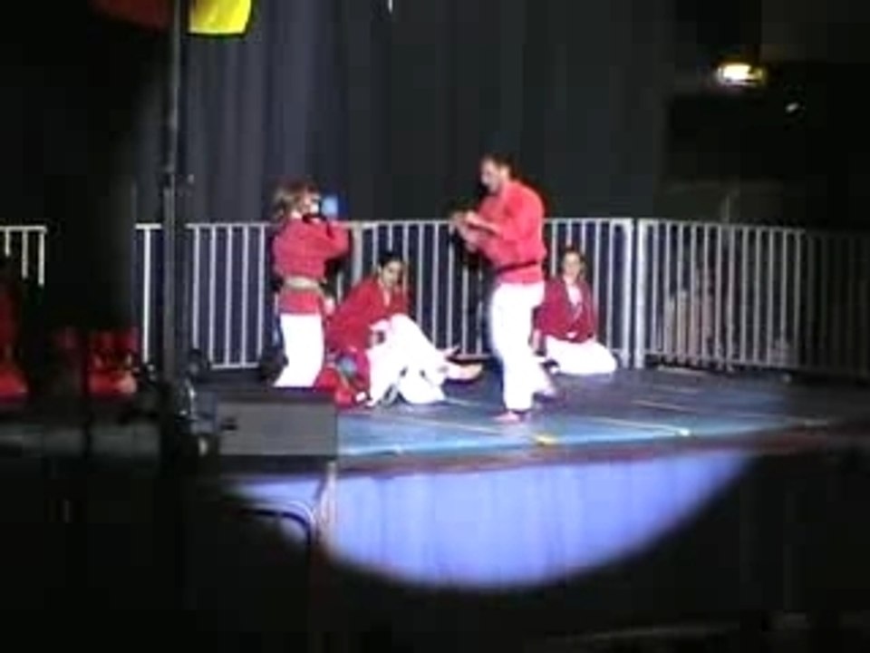 Demo de shindokai