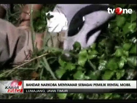 Satuan Reserse Narkoba Polres Lumajang Bekuk Pengedar Narkoba