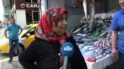 Samsunluların dev orkinos şaşkınlığı