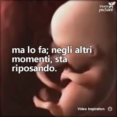 Скачать видео: Cose che non sapevi che il tuo bambino stava facendo dentro di te