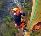 Un bucheron découpe un Eucalyptus à une hauteur vertigineuse