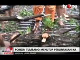 Pohon Tumbang Menutup Perlintasan Kereta Api