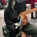 Perro confunde a su amo con un maniquí