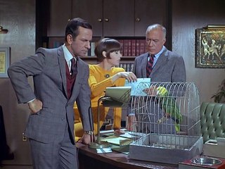 Get Smart 1965 S02E13   Perils in a Pet Shop