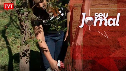 Vitória: presença feminina no campo é maior a cada dia