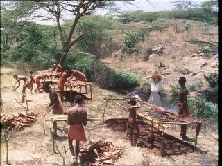 The Flame Trees of Thika EP2 Hyenas Will Eat Anything (1981)