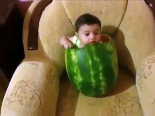 un bébé rentre dans une pastèque et la croque