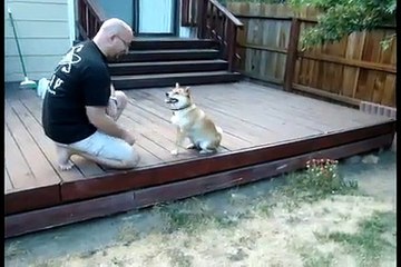 Yuki, le chien qui parle