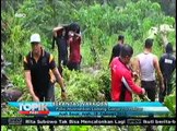 Polisi Musnahkan Ladang Ganja 1,5 Hektare