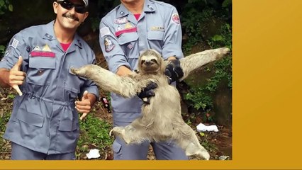 COSE DA NON DIRE AGLI AMICI AL BAR: PARODIE SULL'AMICIZIA - VIDEO DIVERTENTI