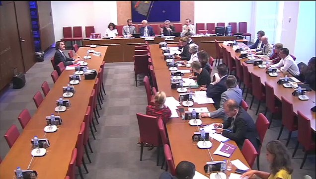 Révision de la loi relative à la bioéthique : M. Pierre Le Coz, professeur de philosophie à la faculté de Marseille ; Mme Anne-Marie Leroyer, professeure des universités ; M. Jacques Testart, biologiste - Jeudi 6 septembre 2018