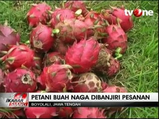 Jelang Imlek, Permintaan Buah Naga dan Kue Keranjang Meningkat
