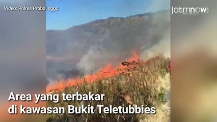 Kebakaran di Bukit Teletubbies Gunung Bromo
