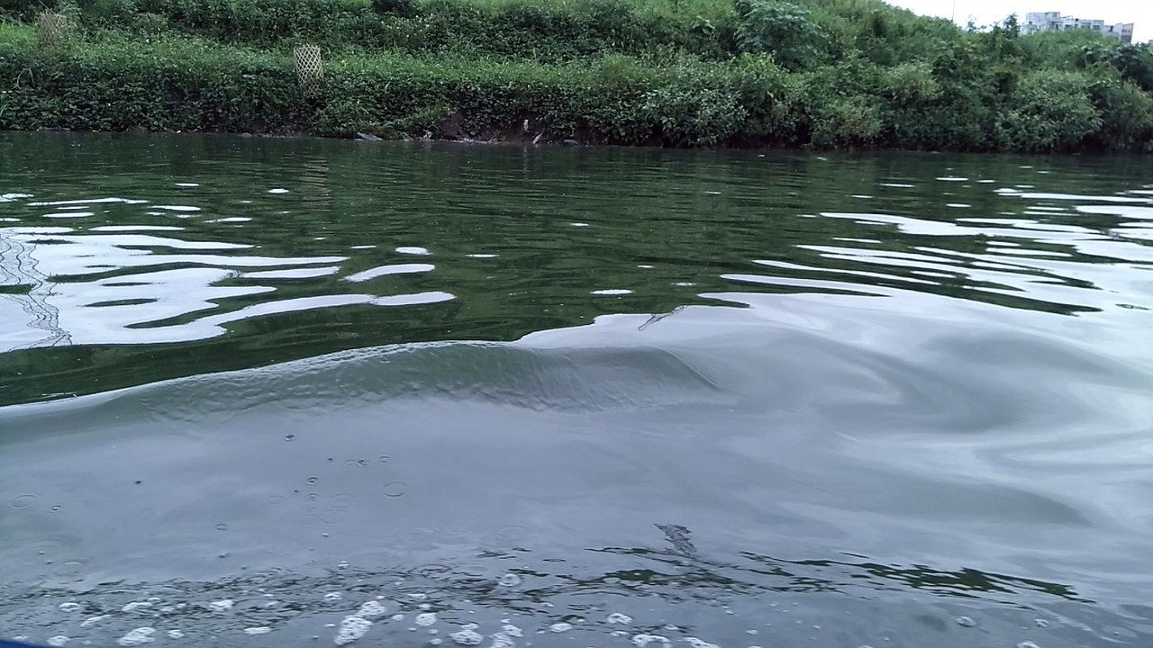 Waves