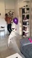 dog tries to grab balloon that is tied to him