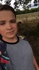 dog walks on his twos in a field of grass in the background