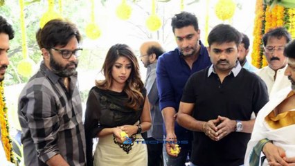 Maruthi Movie Sailaja Reddy Updates(telugu)