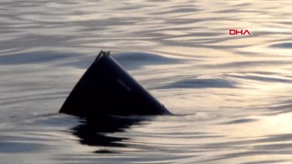 İstanbul Helikopterin Kuyruk Parçaları Kıyıya Çıkartıldı