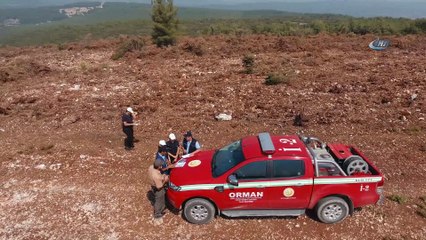 180 bin fidan güz yağmurlarıyla beraber toprakla buluşacak