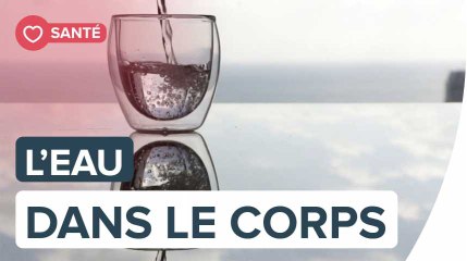 Quelle est la quantité d'eau dans le corps humain ?