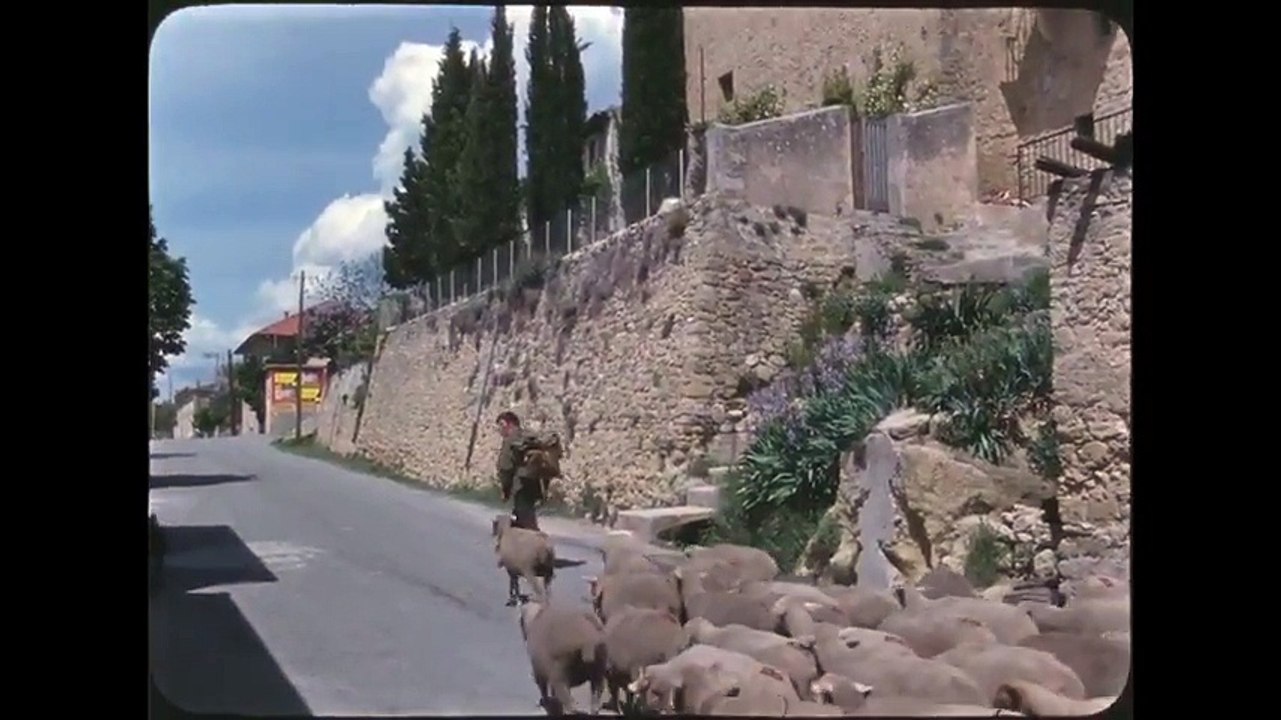 Transhumance dans le Luberon