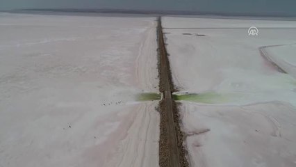 Bozkırın Ortasındaki "Kuş Cenneti" Tuz Gölü