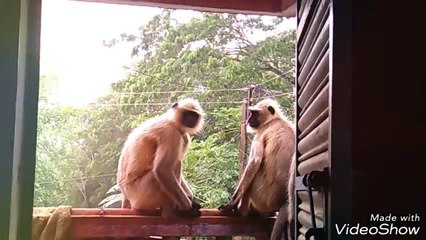 what an expression sirji !