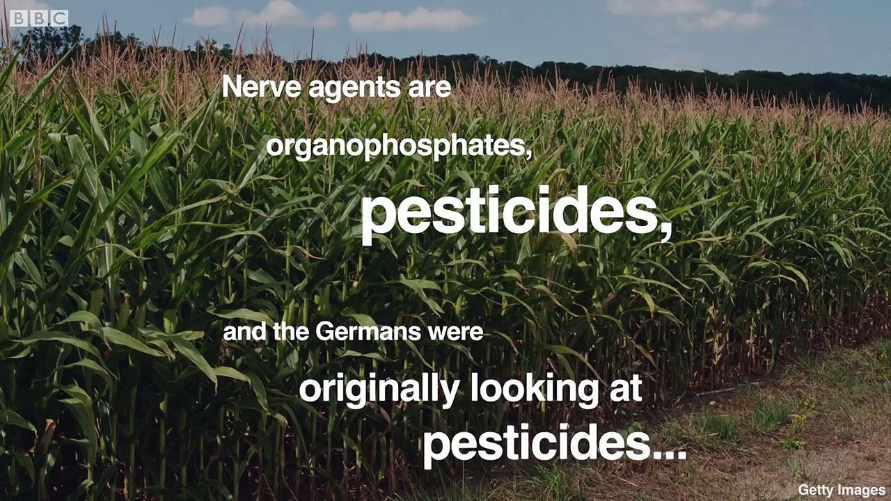 100 years of chemical weapons - BBC News