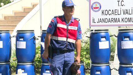 Uyuşturucu operasyonunda 800 kilogram kokain ele geçirildi - KOCAELİ