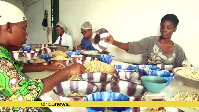 Ivory Coast: cashew nut slump on low prices but farmers are hopeful