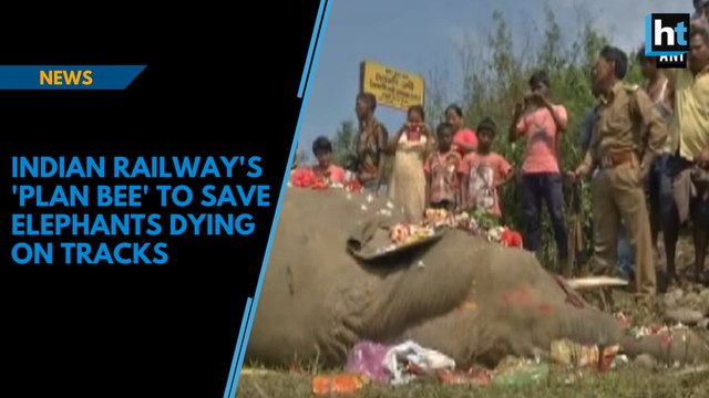 Indian Railway's 'Plan Bee' to save elephants dying on tracks