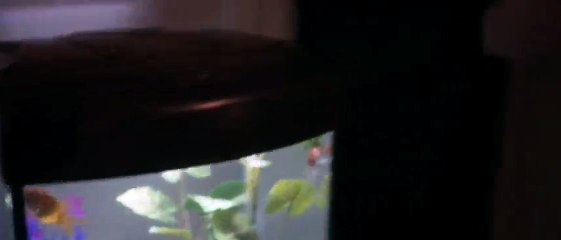 True Horror  2018  S01  E03 Terror in the Woods   Part 02