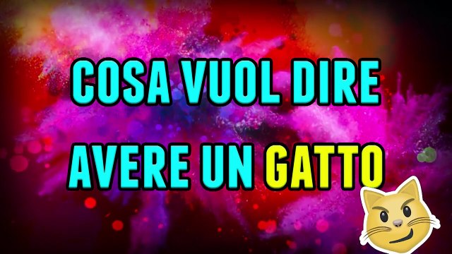 Cosa vuol dire avere un gatto