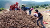 Fındık üreticilerinin kurduğu kooperatif ihracatı hedefliyor - SAKARYA