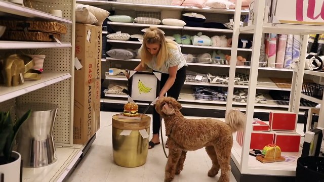 Decorating Tips For Apartment Rentals ONE Room TWO Styles