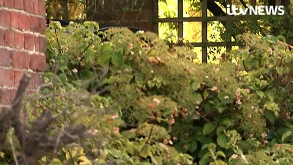 Boris Johnson and Marina Wheeler are divorcing