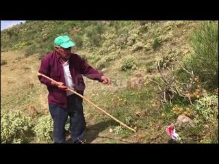 Vrasja e Alket Muhos në Memaliaj, vjerri tregon vendin ku i ekzekutuan dhëndrin