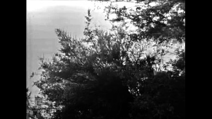 Mireille Mathieu - Adieu À La Nuit (1967)