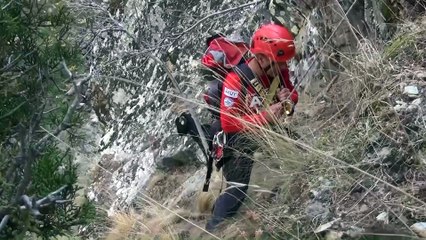 Kayalıklarda mahsur kalan keçi kurtarıldı - DENİZLİ