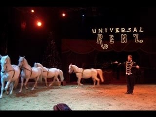 Les chevaux RENZ noir & blanc