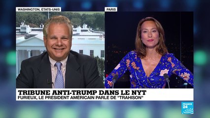 Tribune anonyme dans le New York Times - Analyse d''Eric Lisann