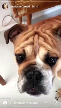 Florence Foresti a un problème avec son chien