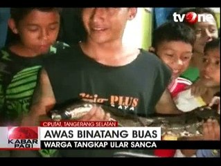 Warga Cipayung Geger Temukan Ular Sanca Sepanjang 6 Meter