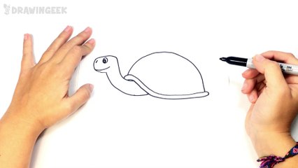 How to draw a Tortoise or Turtle Step by Step